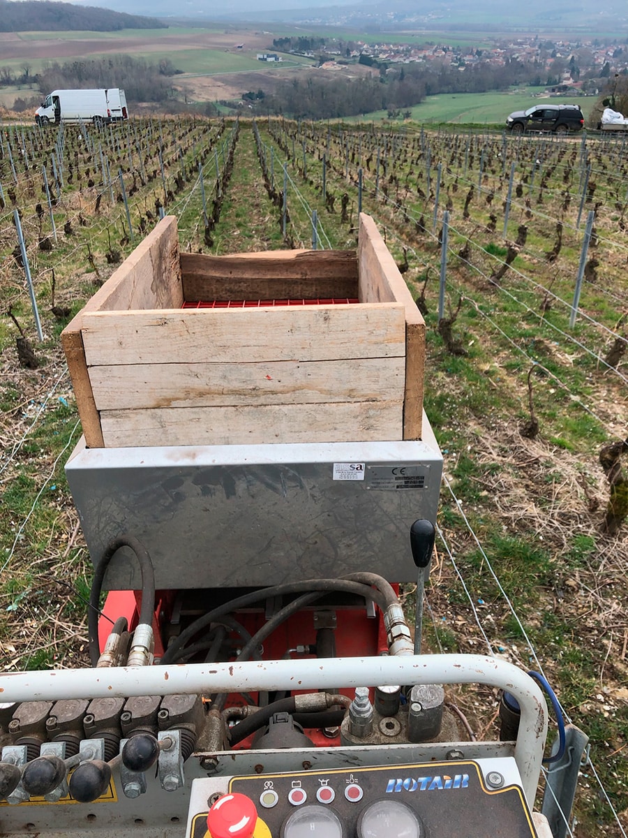 Guy Cédric Prestations viticoles - Vendanges