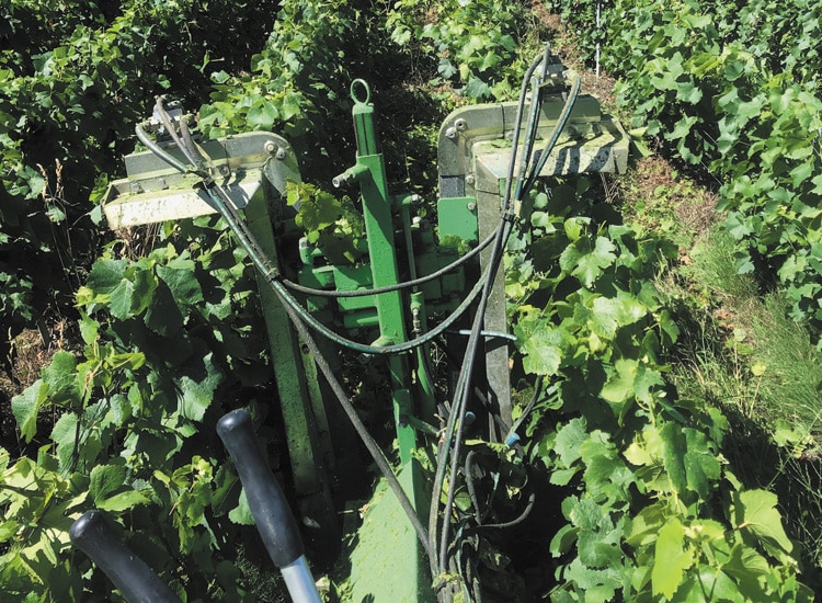 Rognage - Travaux mécaniques vignes